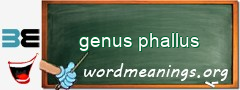 WordMeaning blackboard for genus phallus